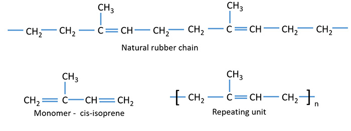 Natural rubber polymer chain, monomer, repeating unit.jpg